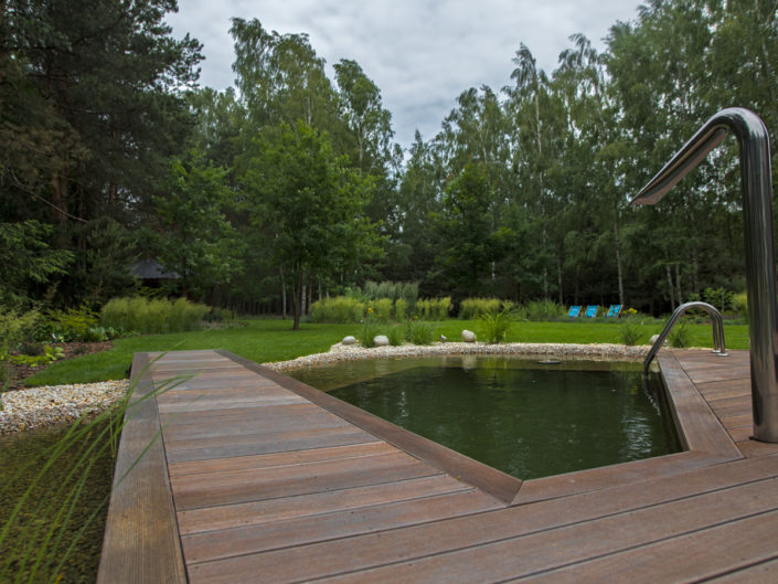 garden natural pool